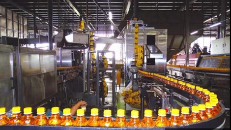 Con ruồi và... Tân Hiệp Phát