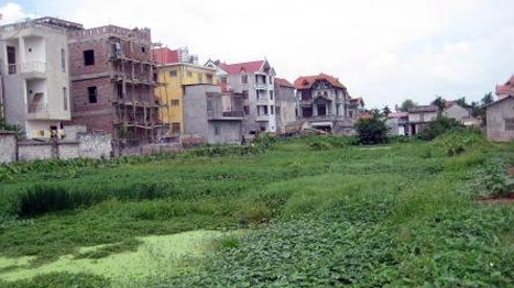 Chậm trễ trong việc ngăn chặn nạn xây nhà trái phép trên đất chuyển đổi