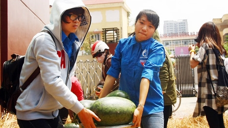 Gỡ khó cho xuất khẩu nông sản