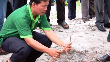 Những hành vi tàn độc, vô lương tâm đã xúc phạm vong linh các liệt sỹ
