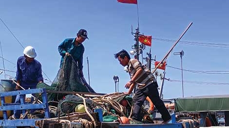 Cơ hội thuận lợi cho ngư dân có phương tiện vươn khơi