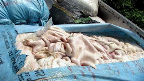 Xe ôtô khách vận chuyển 1.200kg bì lợn ôi thiu