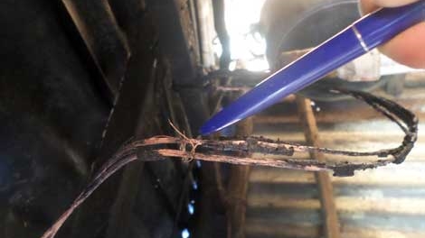 Những tai họa không phải trên trời rơi xuống