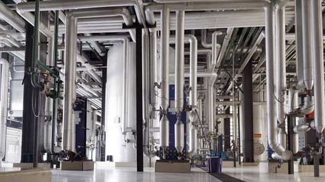 Vai trò của DHA trong dầu cá thực phẩm đối với sức khỏe con người