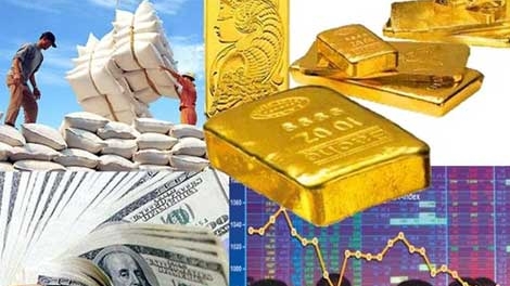 Kinh tế phục hồi, hộ gia đình tăng đầu tư vào sản xuất, kinh doanh