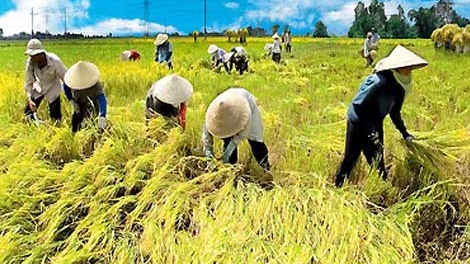 Công bố báo cáo tăng trưởng, chuyển dịch cơ cấu và thay đổi trong nông thôn Việt Nam