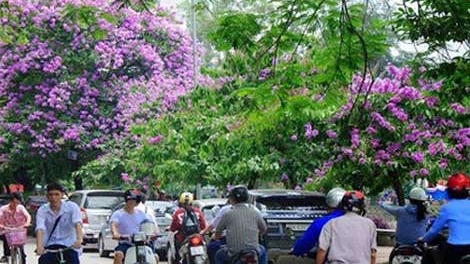 Nắng nóng dịu dần ở Bắc Bộ