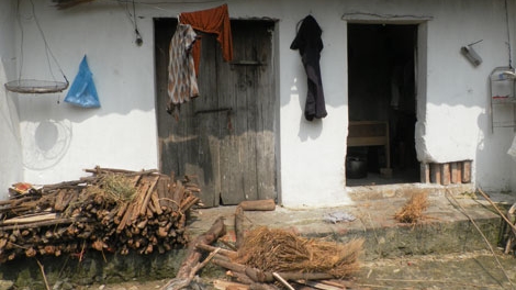 Chuyện buồn về gia đình 'điên'