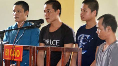 Chặt 3 cây gỗ quý, 4 lâm tặc lãnh 19 năm tù