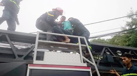 Một người đàn ông nghi là ngáo đá, trèo lên cây đòi tự tử