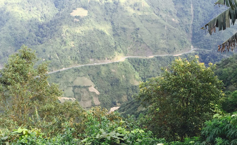 Phá án chốn mù mây