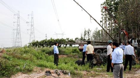 Đưa trung tâm chăm sóc khách sử dụng điện tại 21 tỉnh, thành phía Nam vào hoạt động