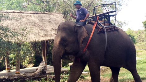 Những bất cập của du lịch Bản Đôn
