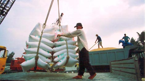 Kỳ cuối: “Cởi trói” cho hạt gạo