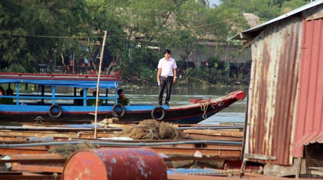 Xác định nguyên nhân cá bè chết tại sông Cái - Đồng Nai