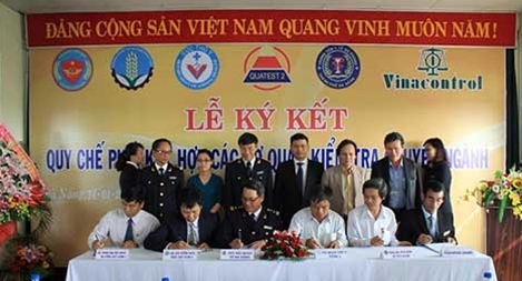 Triển khai địa điểm kiểm tra chuyên ngành tập trung tại Cảng Đà Nẵng