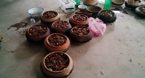 Làng cá kho Vũ Đại