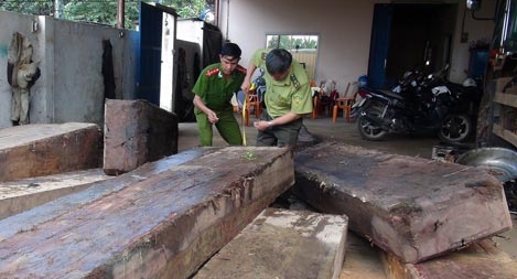 Vận chuyển gần 9m3 gỗ quý bằng xuồng máy