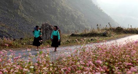 Cao nguyên đá trước thềm Xuân