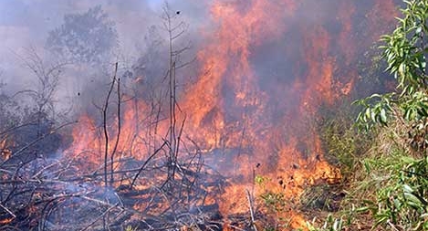 Hơn 400 người dập tắt đám cháy trên núi Minh Đạm