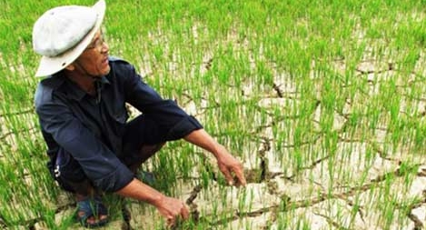 Không để đói và bùng phát dịch bệnh do hạn hán