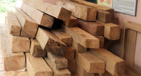  4,3m3 gỗ lậu chưa xác định được chủ