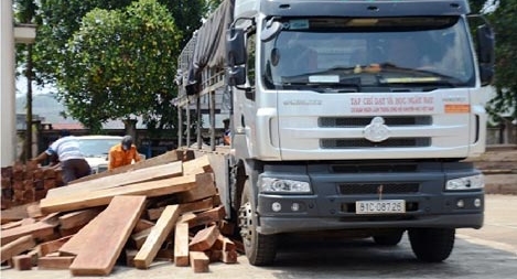 Gắn mác cơ quan báo chí lên xe để chở gỗ lậu