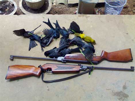 Trúng đạn từ súng săn, một người tử vong