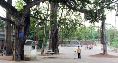 Khúc gỗ biết đi, cây đa 9 gốc và chiếc chìa khóa của người hành khất