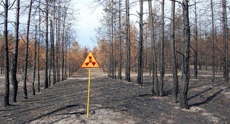 30 năm thảm họa Chernobyl: Vẫn một vùng hoang phế