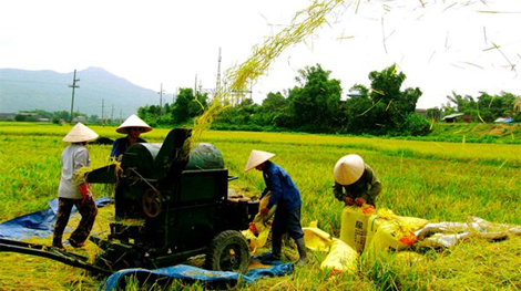 Giám sát thực hiện Chương trình mục tiêu quốc gia xây dựng nông thôn mới
