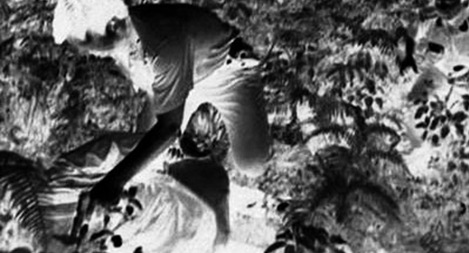 Bắt giữ đối tượng truy nã đặc biệt nguy hiểm