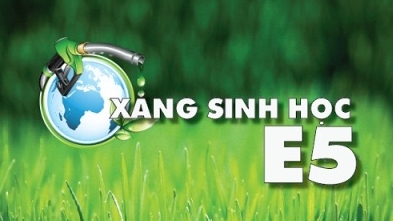 Hà Nội hỗ trợ các cơ sở phân phối xăng sinh học E5, E10