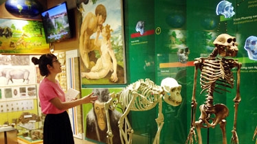 Bài 3: Cần cuộc “cách mạng” cho bảo tàng