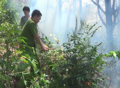 Hàng trăm người đang vật lộn với “giặc lửa” để cứu rừng