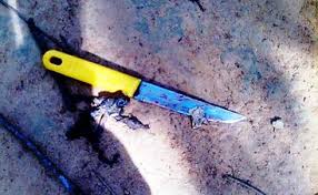 Thanh niên tâm thần đâm 1 người chết, 3 trẻ em nguy kịch