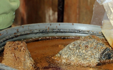 2 cơ sở sản xuất mắm chứa dòi ở Vĩnh Long, công nhân trộn dưa bằng chân đất