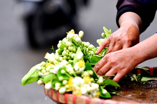 Nao lòng với màu trắng tinh khiết hoa bưởi tháng 3