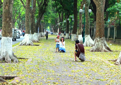 Hà Nội đẹp ngỡ ngàng mùa lá vàng rơi