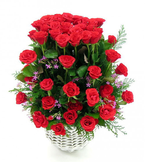 Chọn và cách trưng bày hoa ngày Tết mang lại may mắn, thịnh vượng, hạnh phúc