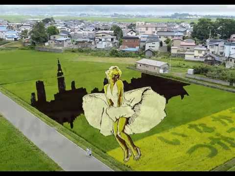 Đẹp mê hồn bức tranh khổng lồ trên cánh đồng lúa ở Nhật Bản