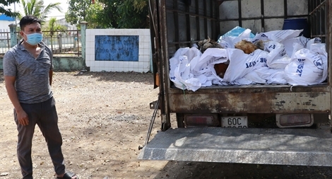 Xe tải vận chuyển 370 kg gà chết