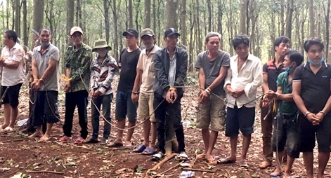 Hàng chục đối tượng tổ chức đá gà ăn tiền trong rừng cao su giữa mùa dịch