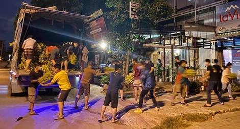 Phương tiện vận chuyển hàng hóa trong 19 tỉnh giãn cách không cần xin giấy nhận diện