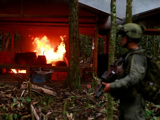 Colombia đốt cháy hơn 100 “lò” sản xuất ma túy khối lượng “khủng”