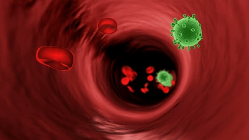 Israel tìm ra “chiến binh mới” có thể tiêu diệt hoàn toàn virus HIV