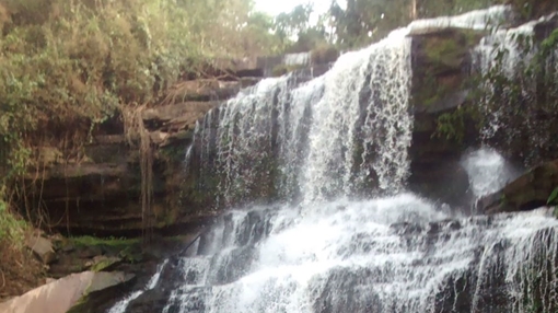 Bão mạnh, cây đổ đè chết 20 học sinh đang bơi dưới thác nước