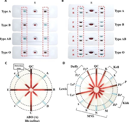 Công nghệ xét nghiệm, phân loại nhóm máu bằng giấy trong 30 giây