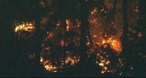 Thợ máy đánh cắp máy bay lao xuống biển tự sát