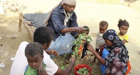 Người dân Yemen phải ăn lá cây vì đói do chiến tranh 